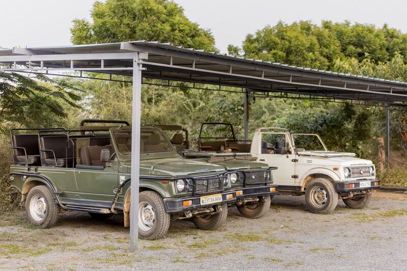 Safari gypsies ready for the evening drive